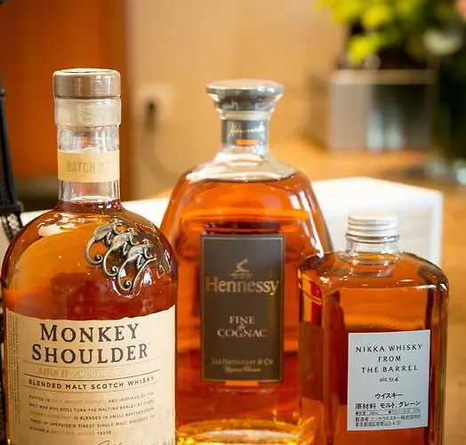 香榭丽舍歌剧院酒店 酒店